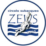 ZEUS TONDO